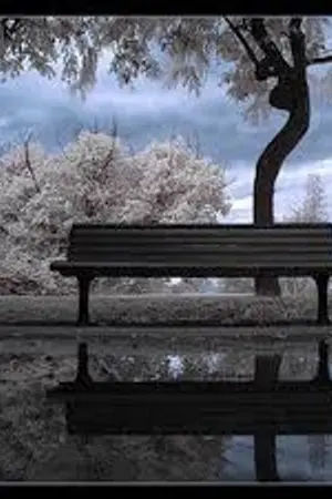 ปกนิยาย LOVE MEMORY ความทรงจำสีชมพู