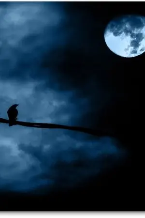 ปกนิยาย ในคืนไร้ดาว (นิยายชุด เมื่อตะวันลับ...ฉันจะนับดาว)