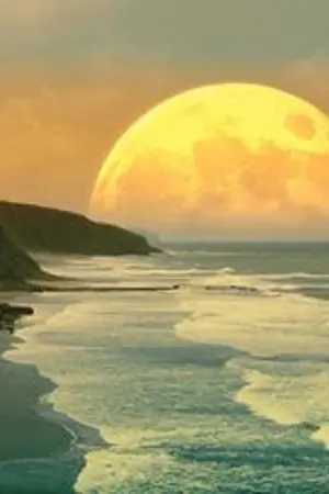 ปกนิยาย สาวน้อยของตะวัน (นิยายชุด เมื่อตะวันลับ...ฉันจะนับดาว)