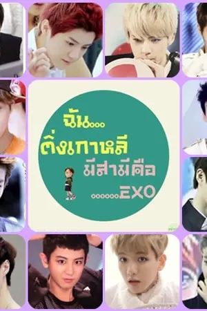 ปกนิยาย Fic EXO & YOU  ฉันติ่งเกาหลี มีสามีคือ EXO