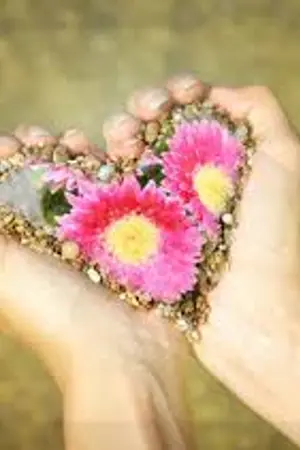 ปกนิยาย ปฐพีรัก หัวใจเถื่อน