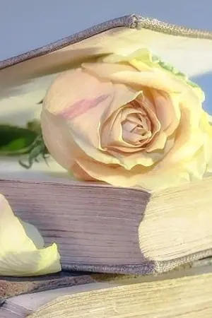 ปกนิยาย กระหายสวาท มาเฟียทมิฬ