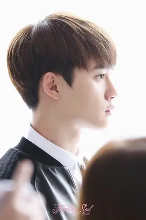 ปกนิยาย Set UP {EXO} [KAISOO,KAIDO]