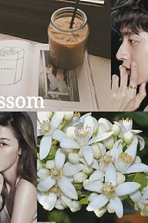 ปกนิยาย Blossom วันฝนพรำ