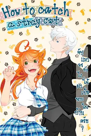 ปกนิยาย [TPN AU NorxEm] How to catch a stray cat. จับแมวจรยังไง ให้มาเป็นนายในบ้านครับ?