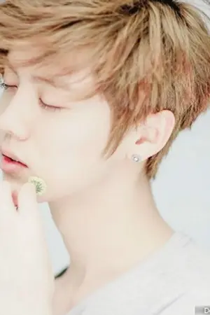 ปกนิยาย Butterfly [Fic Exo Sehun x Luhan]