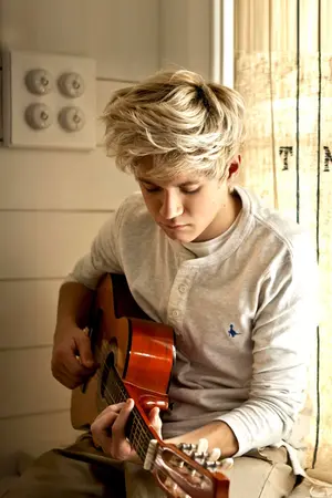 ปกนิยาย apologize : love or truth {fic niall horan one direction}