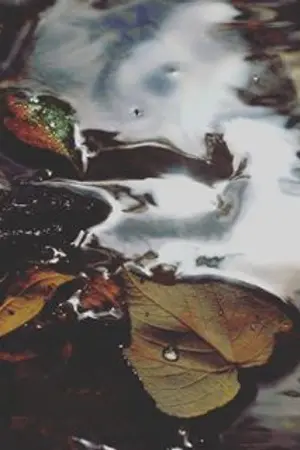 ปกนิยาย [BTS] sf/os 군엽 『KOOKV』