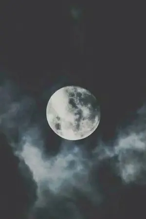 ปกนิยาย ความหลงไหลในมนุษย์ EXO,Got7,BTS,17,SJ{ft.others}