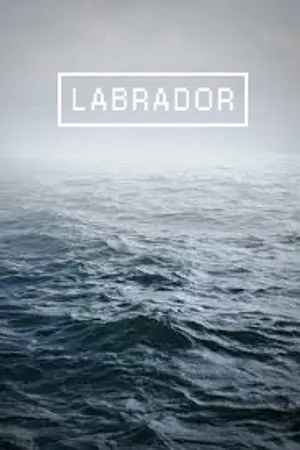 ปกนิยาย LABRADOR : BJin