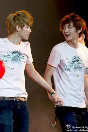 ปกนิยาย เรื่องราวความรักของคู่รักสูงสุดแห่ง EXO "คริสยอล"