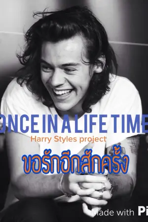 ปกนิยาย Harry Styles Project : Once in a life time ขอรักอีกสักที