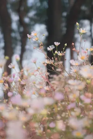 ปกนิยาย Be My Boys | Stray Kids