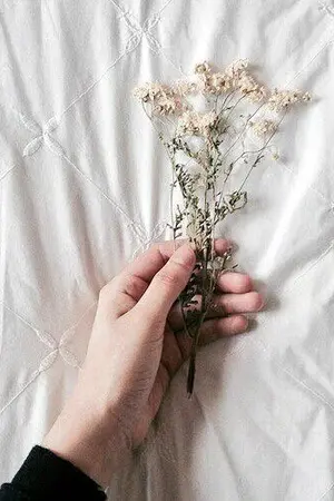 ปกนิยาย [ รวม OS / SF  ]