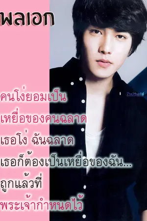 ปกนิยาย