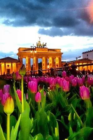 ปกนิยาย สะใภ้เมืองเบียร์