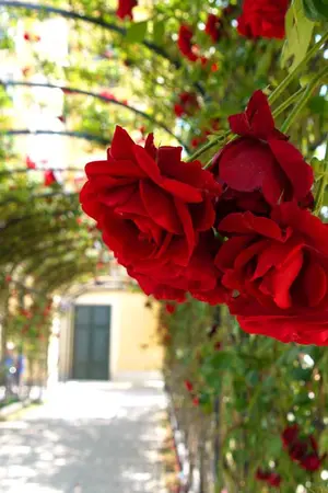 ปกนิยาย ฟากฟ้าเมืองเบียร์