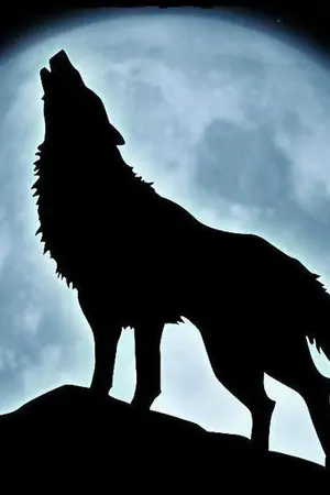 ปกนิยาย The love of the Wolf  [EXO SNSD]
