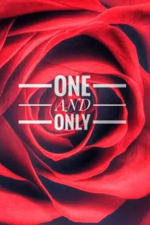 ปกนิยาย One and only เพราะเธอมีเพียงคนเดียวในโลก