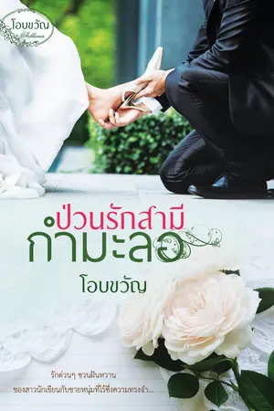 ปกนิยาย ป่วนรักสามีกำมะลอ