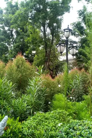 ปกนิยาย รักนี้ฟ้าประทานให้