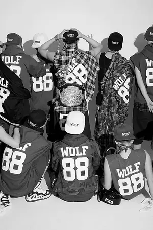 ปกนิยาย [exo X you] วุ่นรัก ไกด์จำเป็น