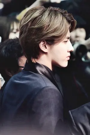 ปกนิยาย SS2 - Fic EXO :: Gone {KrisLay Ft.EXO}