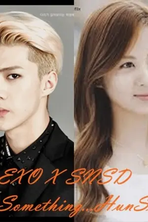 ปกนิยาย [EXO X SNSD]  SomethingHunSeo