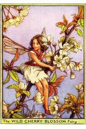 ปกนิยาย Knight & Nightmare เปิดตำนานอัศวินเกรียน?!