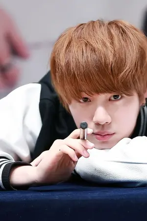 ปกนิยาย [BTS] OS JINPINK & All