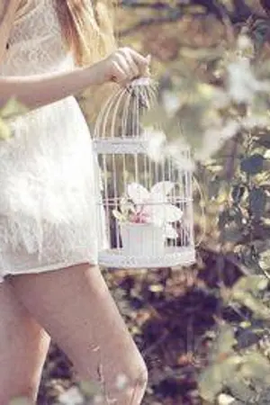 ปกนิยาย นกน้อยในกรงกาม