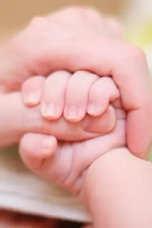 ปกนิยาย เมื่อผมท้อง #แบคฮวีท้อง ft.โฮลิน