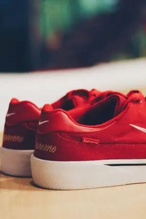 ปกนิยาย Bee X Cris ตัวเลือก ?