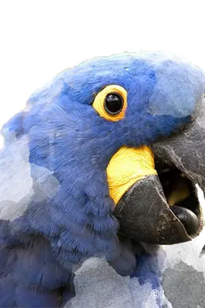 ปกนิยาย ∇Q U A R R E L けんか °exo