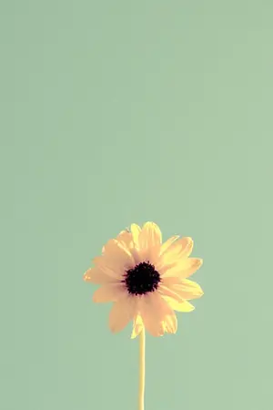 ปกนิยาย [B.A.P] In A Relationship ♡ HIMDAE