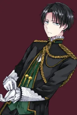 ปกนิยาย รักของฉันและของเธอ(รีไวล์เฮย์โจว x reader)