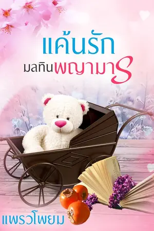 ปกนิยาย