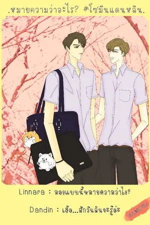 ปกนิยาย หมายความว่าอะไร? #โซมีนแดนหลิน