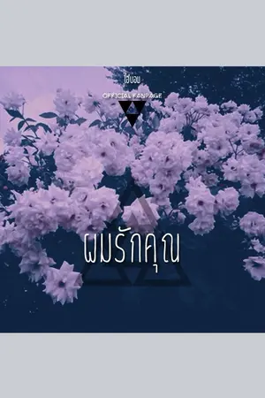 ปกนิยาย