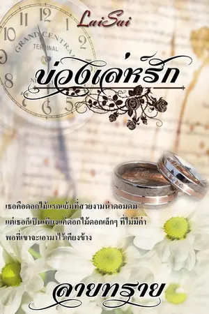 ปกนิยาย