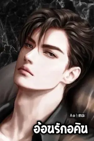 ปกนิยาย อ้อนรักอคิน