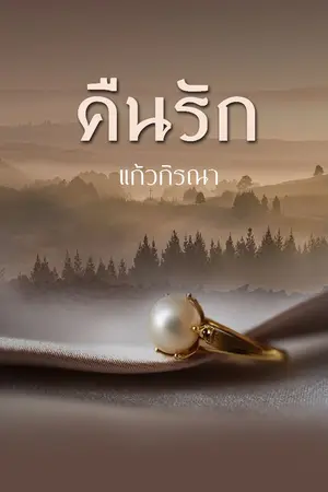 ปกนิยาย คืนรัก