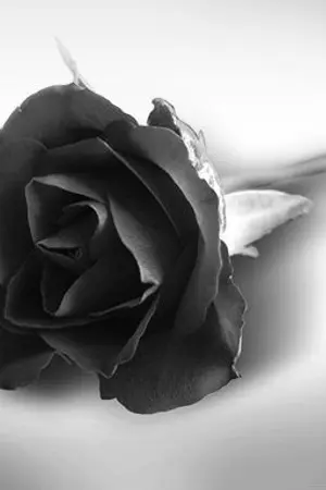 ปกนิยาย (HKS) WHEN I WAS YOUR MAN