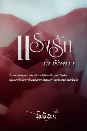 ปกนิยาย แรงรักเงาริษยา