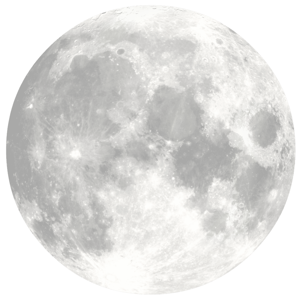 My Image 11