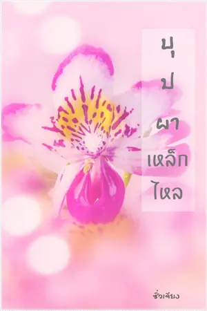 ปกนิยาย บุปผาเหล็กไหล