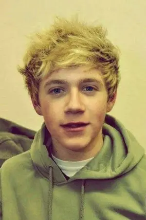 ปกนิยาย [SF Normal] Niall x You !