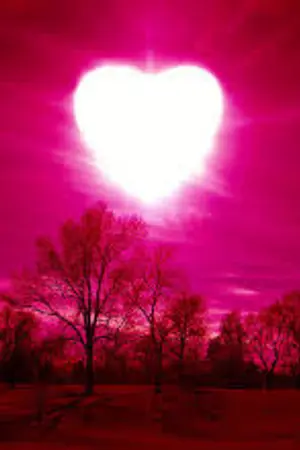 ปกนิยาย ตามล่าหารัก