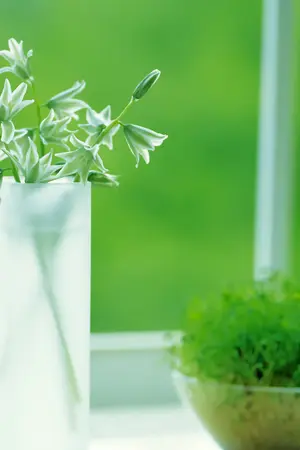 ปกนิยาย รักนี้ใครลิขิต