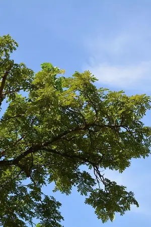 ปกนิยาย เมื่อครานั้น #Nielong